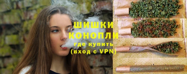 первитин Богородицк