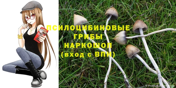 мескалин Беломорск