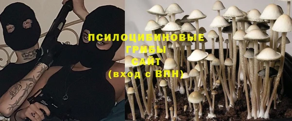 первитин Богородицк