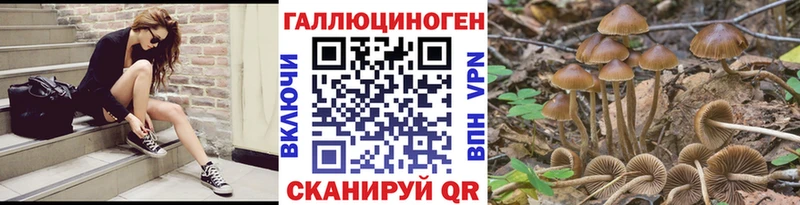 Галлюциногенные грибы MAGIC MUSHROOMS  omg tor  Кириллов  даркнет состав  купить наркоту 